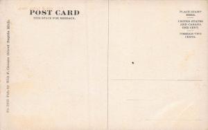 Grand Ledge, Michigan, Early Postcard, Unused