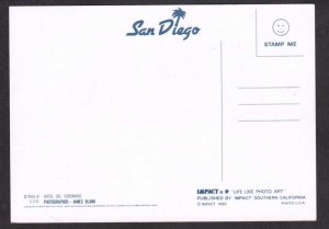 CA Hotel Del Coronado Pool San Diego California Postcard
