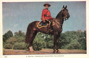 Vintage Postcard 1920's A Royal Canadian Mounted Policeman Montreal Canada CA