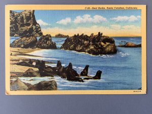 Seal Rocks Santa Catalina CA Seascape Linen Postcard A1141091842