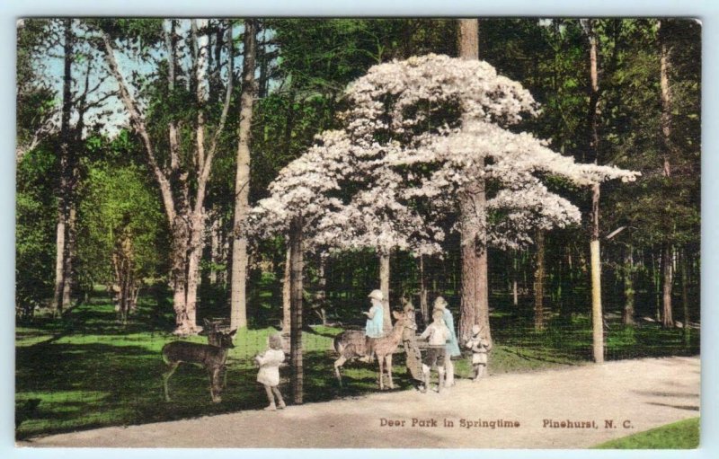 PINEHURST, North Carolina NC ~ Handcolored DEER PARK Springtime 1939  Postcard