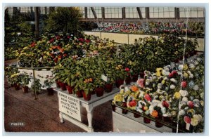 1913 Flower Exhibit New York State Fair Syracuse New York NY Posted Postcard