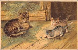 Cat and Kittens playing with Grasshopper Antique Postcard J64655 