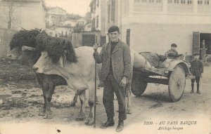 In the Basque Country - Basque cows carriage