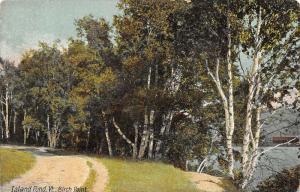 Island Pond Vermont c1910 Postcard Birch Point