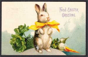 Easter Rabbit with Yellow Ribbon Cabbage Turnip Carrot Postcard