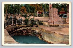 The Sea Lions City Park Denver Colorado White Border Unposted