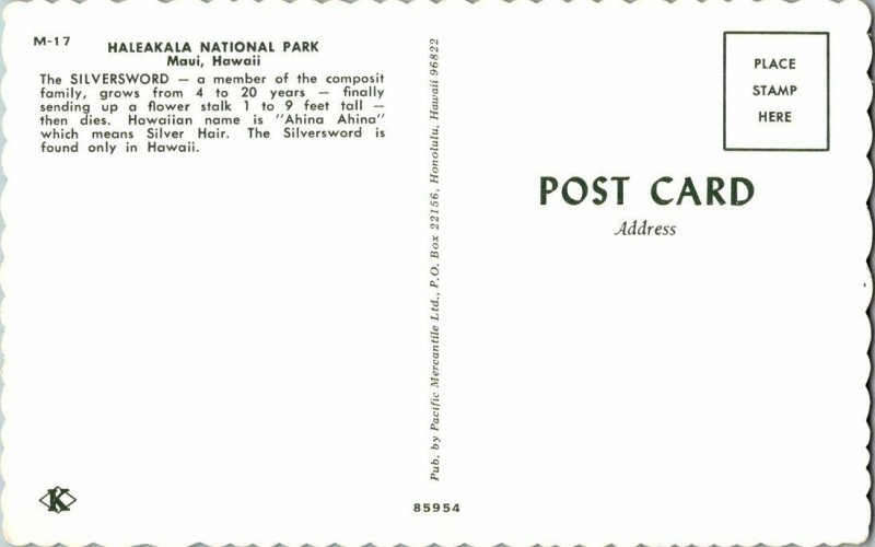 Haleakala National Park Maui Hawaii Silversword Postcard Standard View Card