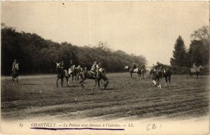 CPA CHANTILLY - La Pelouse avec chevaux a l'exercice (423642)