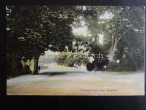 East Sussex BRIGHTON Preston Park near Preston Village c1906 by E.W.B. Series l