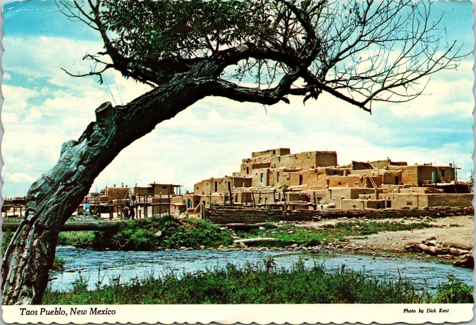 Vintage Continental Size Postcard Taos Pueblo New Mexico Local Post Label 5c Latin And South 5940