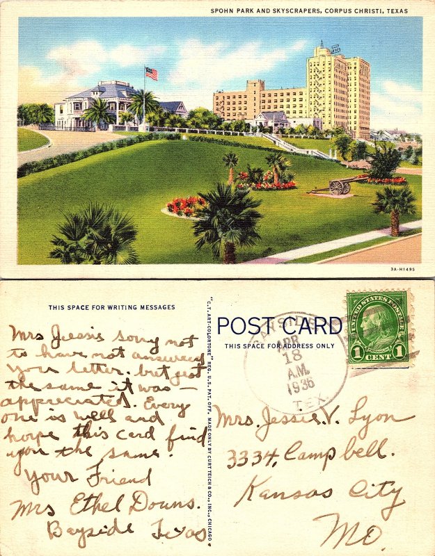 Spohn Park and Skyscrapers, Corpus Christi, Texas