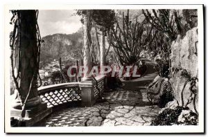 Old Postcard Monaco Exotiquie the garden