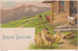 EASTER, PU-1908; Greting, Happy Chicks & Hen, Country Scene