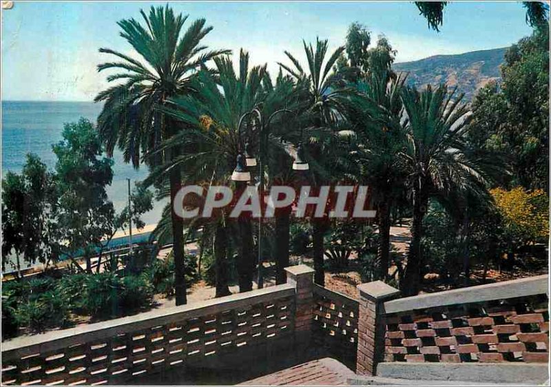 Postcard Modern Ligurian Riviera Palms