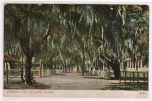 Street Scene DeLand Florida 1905c postcard