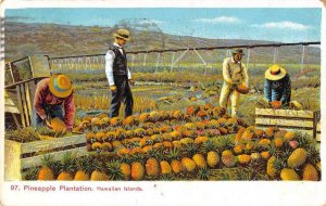 Pineapple Plantation Hawaii Hawaiian Islands Private Mailing Postcard JF685497