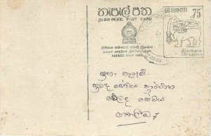 Entier Postal Stationery Postal Sri Lanka Ceylon Lion