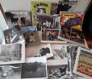 LOT 336 postcards cow bull bison ox milkmaid milk ploughman cowherd oxherd cows 