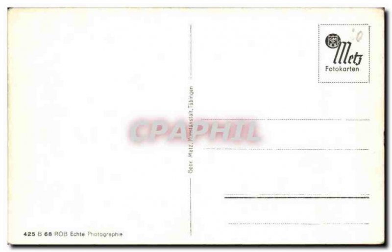 Old Postcard Schwarzwald idylle Cows