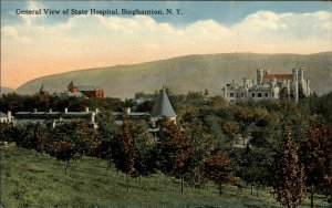 Binghamton New York NY State Hospital General View c1910 Vintage Postcard