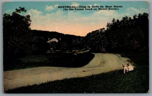 Postcard Montreal Quebec c1909 In The Forest Land on Mount Royal Old Car Kids
