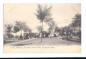LP84 Springfield, Massachusetts, MA, Postcard, Watching the 