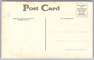 Vtg Hunting Dogs Pointers In The Field 1910s Postcard