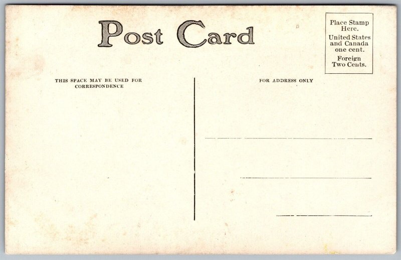 Vtg Hunting Dogs Pointers In The Field 1910s Postcard