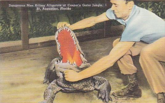 Florida St Augustine Dangerous Man Killing Alligators At Casper's Gator Jungle