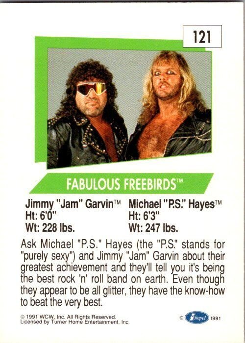 1991 WCW WRestling Card Fabulous Freebirds sk21187