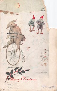 GNOMES LAUGH AT PIG RIDING HIGH WHEEL BICYCLE~1906 MERRY CHRISTMAS POSTCARD