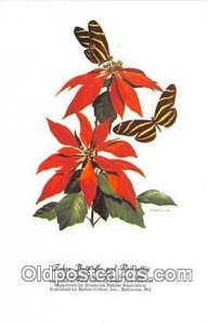 Zebra Butterfly & Poinsettia Artist RT Peterson Unused 