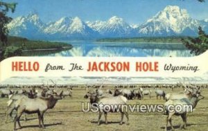 Jackson Hole, WY, Wyoming,