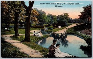 Vtg Chicago Illinois IL Scene From Rustic Bridge Washington Park 1910s Postcard