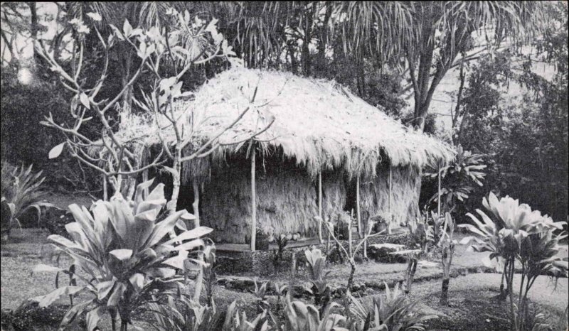 Vintage Postcard HAWAII HI Waioli Tea Room GRASS HUT Princess Kaiulani