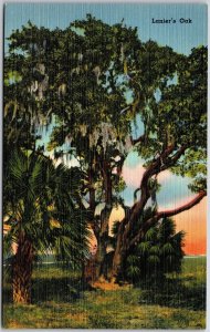 Brunswick, Georgia, Lanier's Oak, Historic Southern Live Tree, Vintage Postcard
