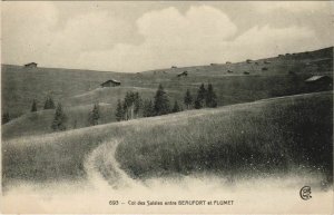 CPA BEAUFORT FLUMET - Col des Saisies Entre Beaufort et Flumet (1191210)