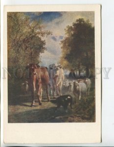 457447 USSR 1959 year Constant Troyon return of the herd of cows old postcard