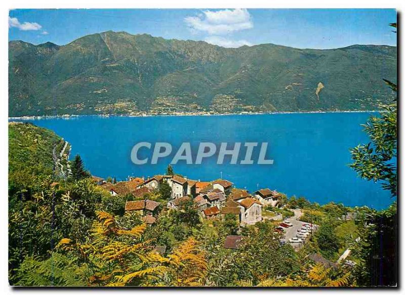 Postcard Modern Scaiano Gamb Lago Maggiore