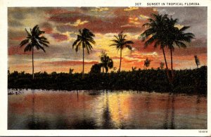 Florida Sunset In Tropical Florida Curteich