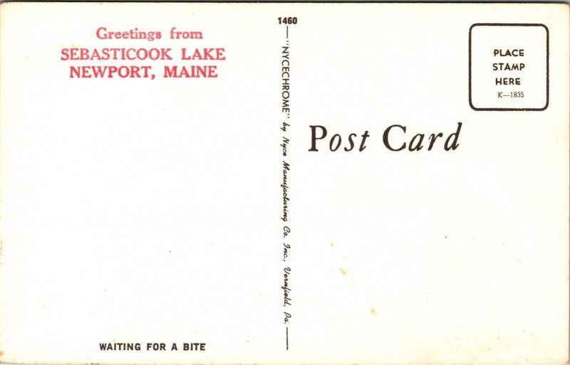 Greetings Sebasticook Lake Newport Maine Fishing Scenic Chrome Postcard 