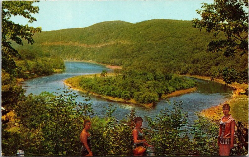 View Mill Rift Pennsylvania PA Delaware River Port Jervis NY Postcard VTG UNP  