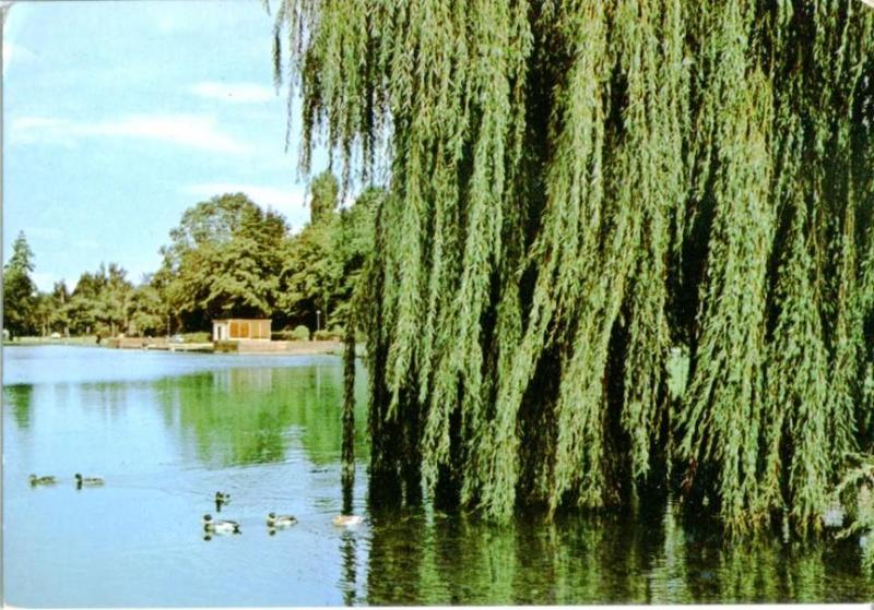 Postal 016750: SITTARD Holland - Vista del Lago de la ciudad de Sittatd