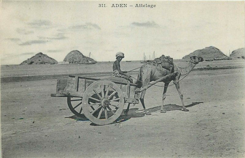 Yemen Aden camel cart attelage coupling ethnic life postcard