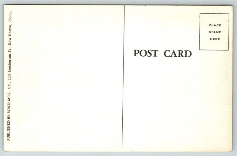 Stratford  Connecticut  Main Street  Postcard