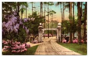 Hand Colored Pine Forest Inn, Entrance Drive, Summerville, South Carolina