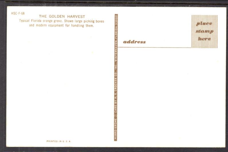 Harvesting Oranges,FL