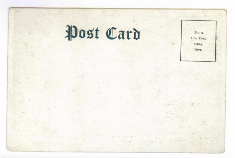 Astor House, New York, Broadway, St Paul's, Post Office, Undivided Back PPC