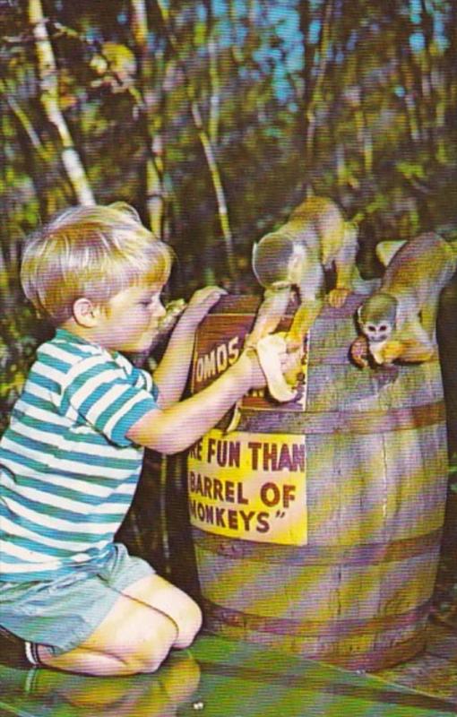 Florida Homosassa Springs Young Boy Feeding Monkeys At Barrel Of Monkeys